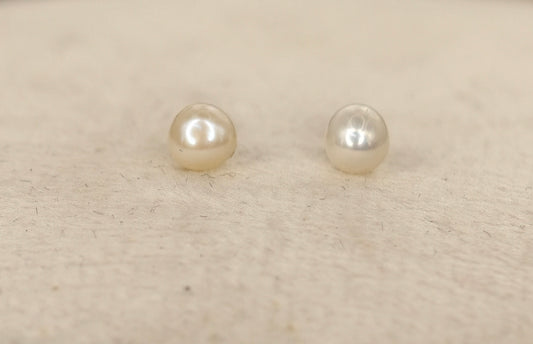 Italian Studs (BK08)